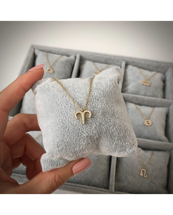 Dámsky oceľový náhrdelník Baran-291046-20