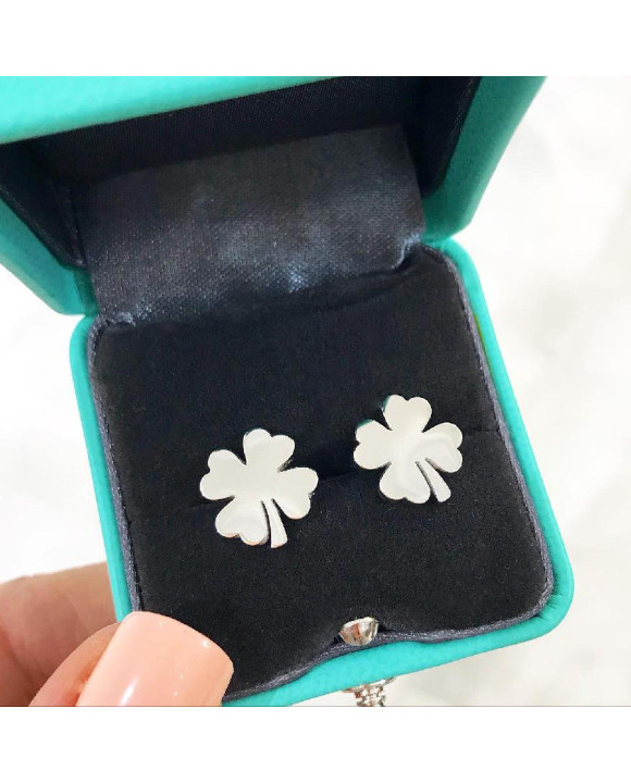 Dámske oceľové náušnice-213377-20