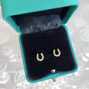 Detské strieborné náušnice pozlátené podkova